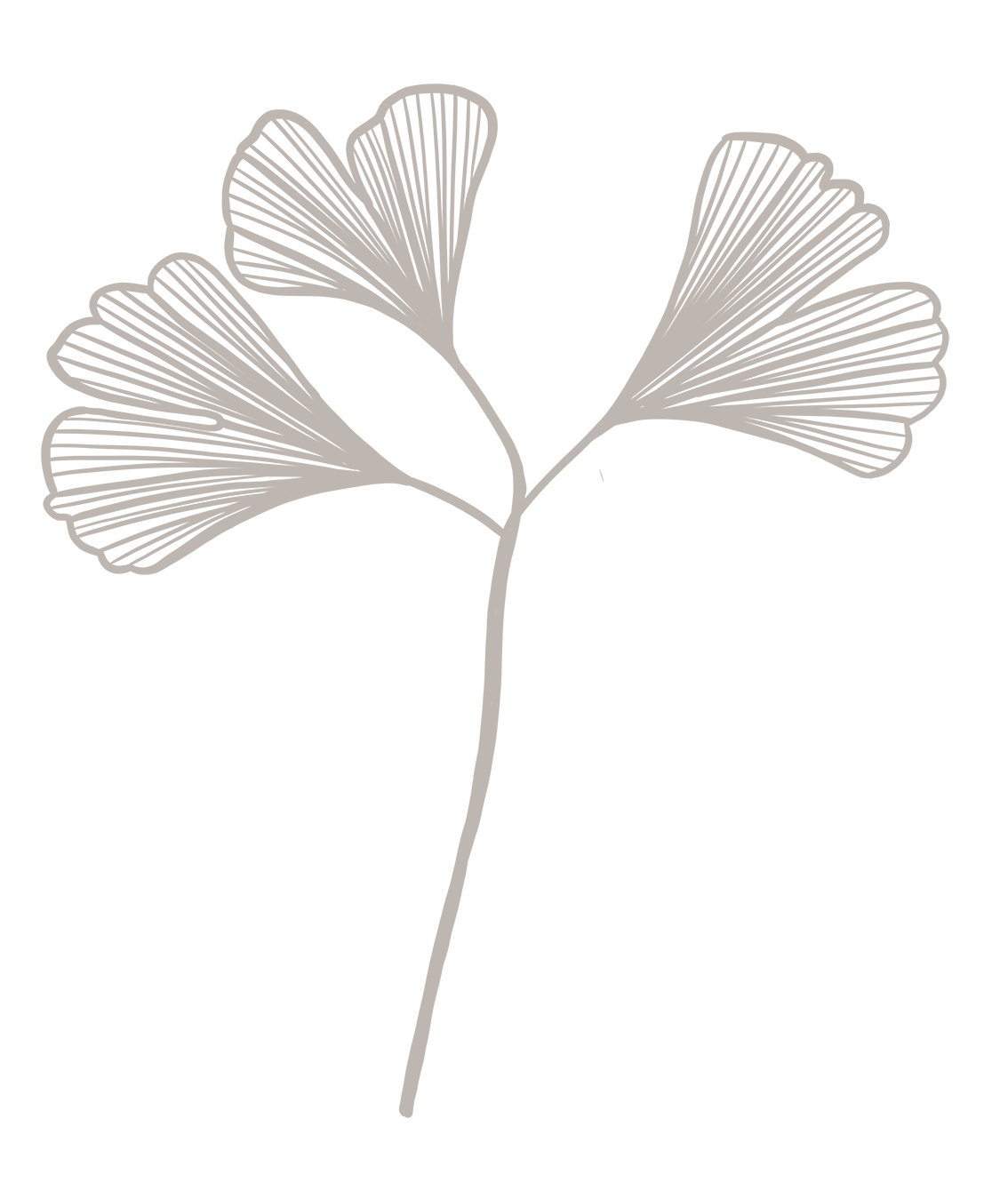 Ginkgo-06-KHAKI.png