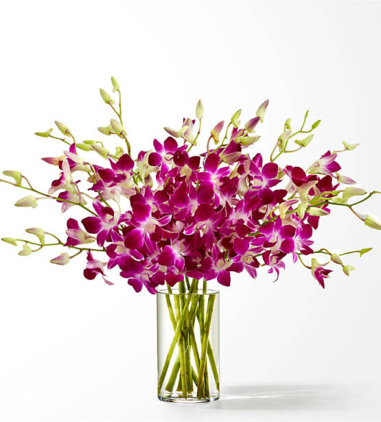 Bouquet d'orchidée dendrobium