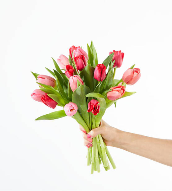 Bouquet de Tulipes mixtes