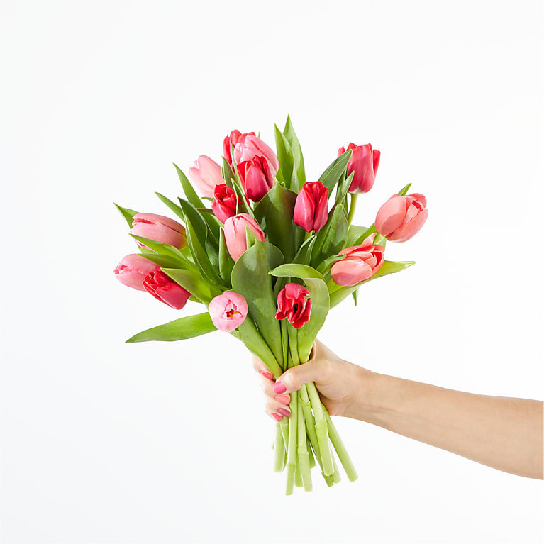 Bouquet de Tulipes mixtes